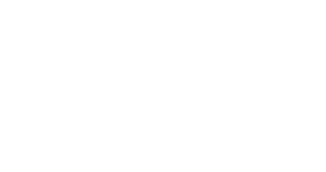 FIX-Sun-Logo-komplett-gr-weiss-1024x540-2